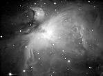 M42