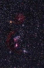 Orione "Cross Star"