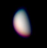 Venere