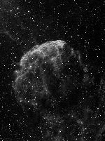 IC443