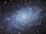 M33