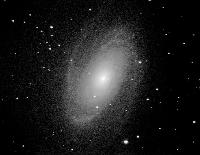 M 81
